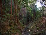 Garrapates State Park 004